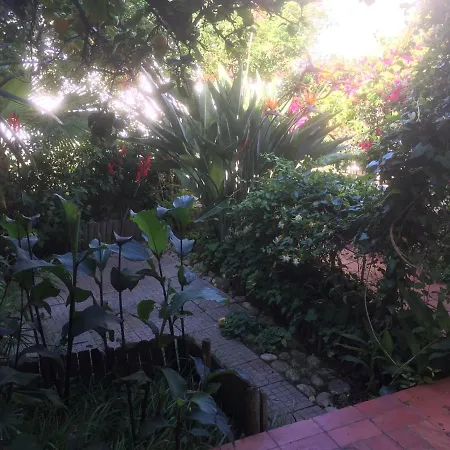 דירה Studio With Garden